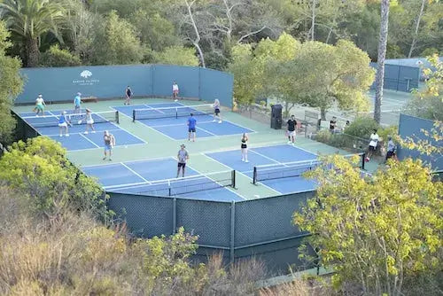 Pickleball Court