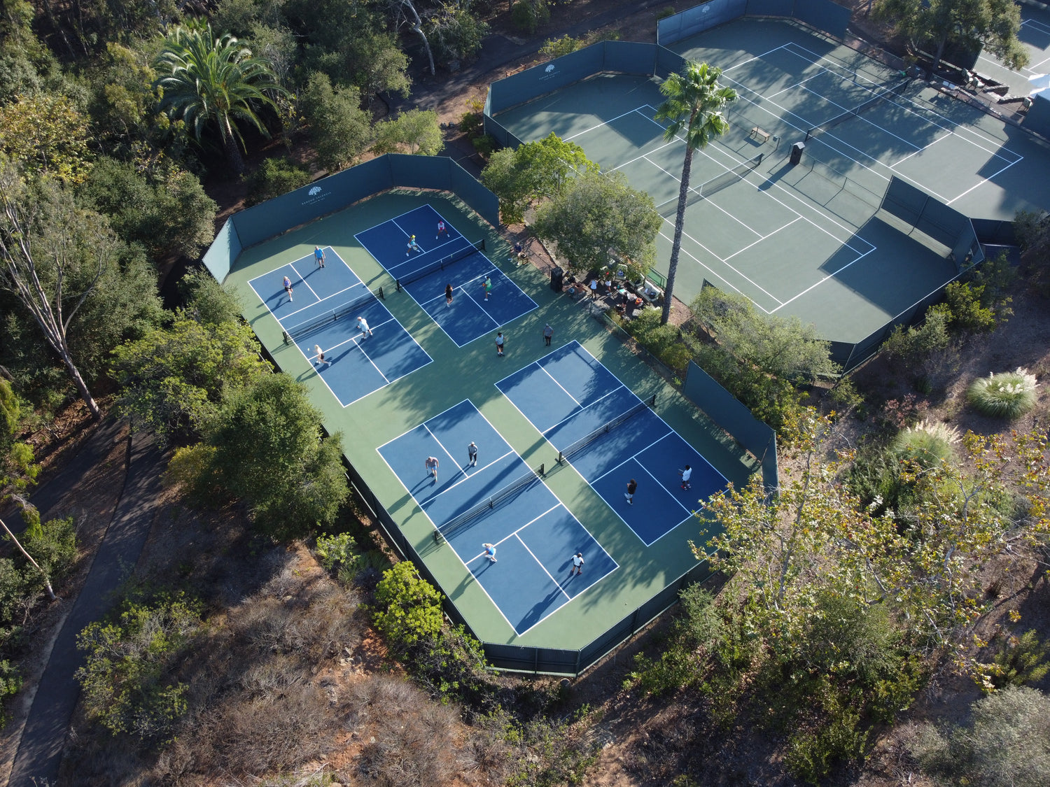 Pickleball Court
